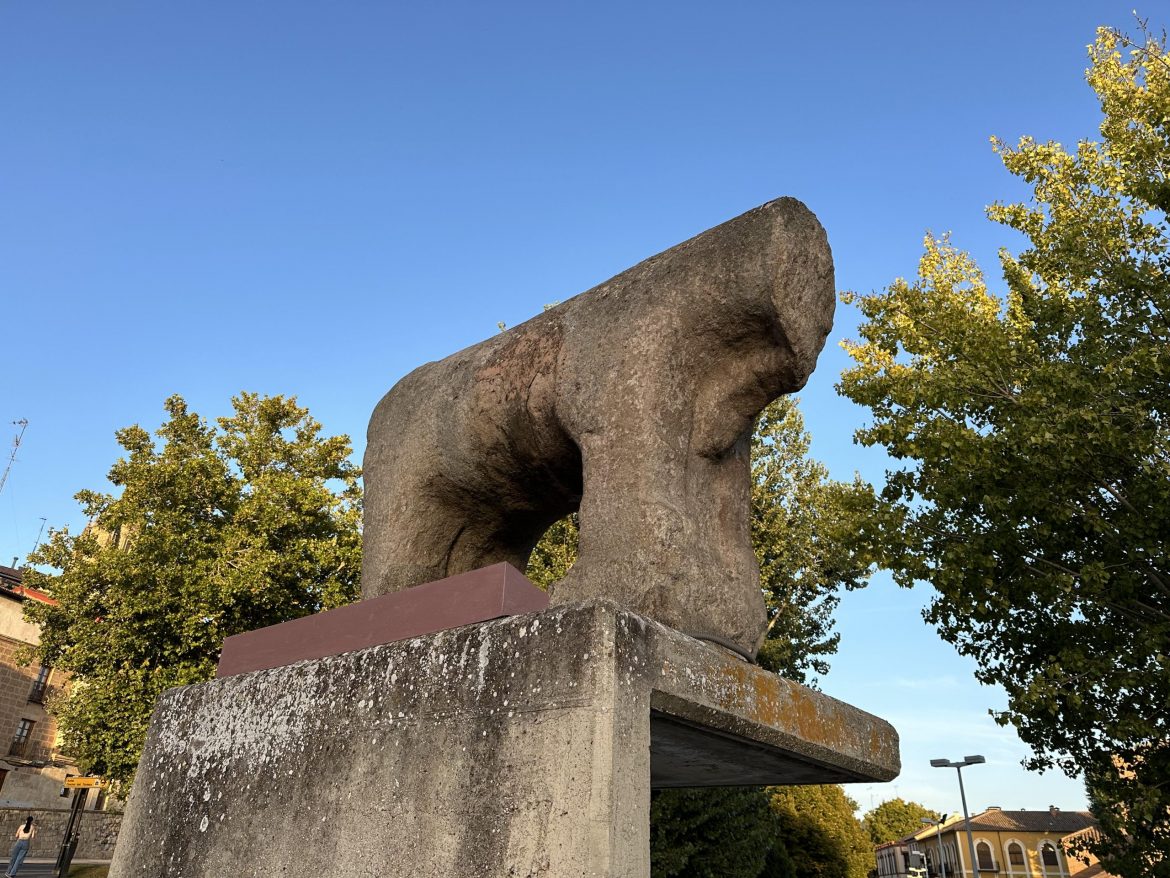 Toro. Roman Bridge, 37008 Salamanca